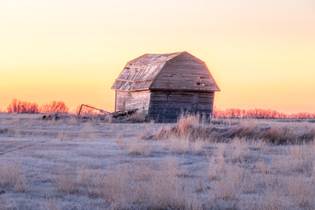 Stunning sunrise over rustic farm in frostry fields buildings Keoma Alberta Canadaの写真素材