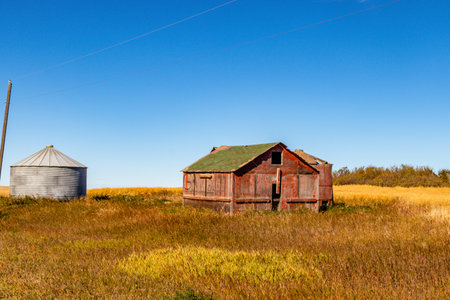 Rustic farm buildings. Starland County, Alberta, Canadaの写真素材