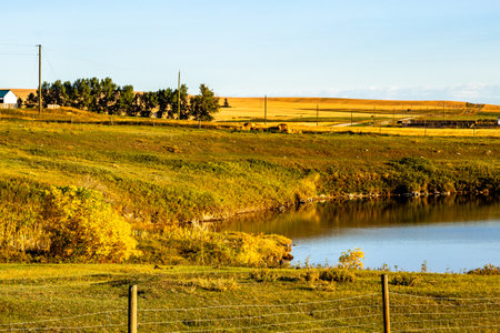 Ponds, streams and fields during a drive through Wheatland County Alberta Canadaの写真素材