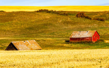 Rustic farm buildings on a drive through Wheatland County Alberta Canadaの写真素材