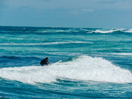 Surfers hitting the waves at Piha Beach, Auckland, New Zealandの写真素材