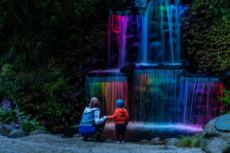 Colourful and brilliant Christmas light display in Pukekura Park. Taranaki, New Zealandの写真素材