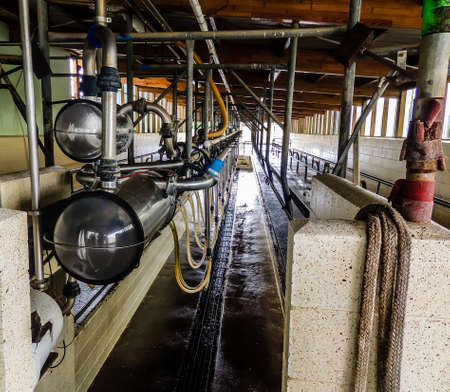 Dairy farm machines and cattle. Taranaki, New Zealandの写真素材
