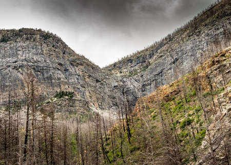 Views along the Akamina Parkway Waterton Lakes National Park Alberta Canada