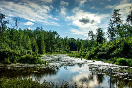 Views from the road side Elk Island National Park Alberta Canada