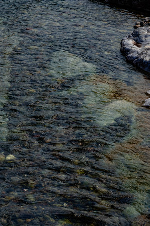 Views along Crandell Lake Trail Waterton Lakes National Park Alberta Canadaの写真素材