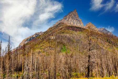 Mount Blakiston reaching tall Waterton Lakes National Park Alberta Canadaの写真素材