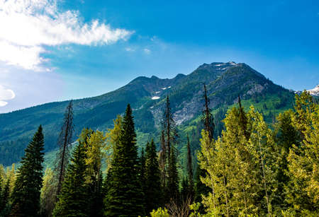 Views along roadside HWY 1 Glacier National Park British Columbia Canada