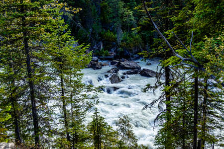 Thundering Yoho River Yoho National Park British Columbia Canadaの写真素材