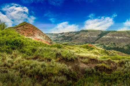 Badlands, trees and Red Deer river on a cloudy day Dry Iland Bufflao Jump Provincial Park Alberta Canadaの写真素材