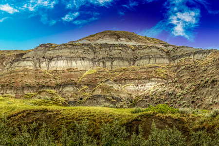 Badlands, trees and Red Deer river on a cloudy day Dry Iland Bufflao Jump Provincial Park Alberta Canadaの写真素材