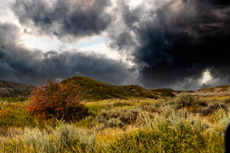 Fall in the badlands under snow skies. Midland Provincial Park, Alberta, Canadaの写真素材