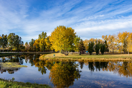 Fall colours in the Town of Magrath in Cardston County Alberta Canadaの写真素材