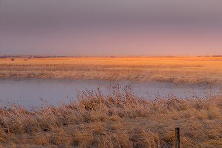 Farmers fields in the early morning light Keoma Alberta Canadaの写真素材