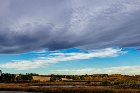 Fall coloues on  drive through Foothills County Alberta Canadaの写真素材