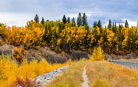 Fall colours in the Town of Turner Valley Foothills County Alberta Canadaの写真素材