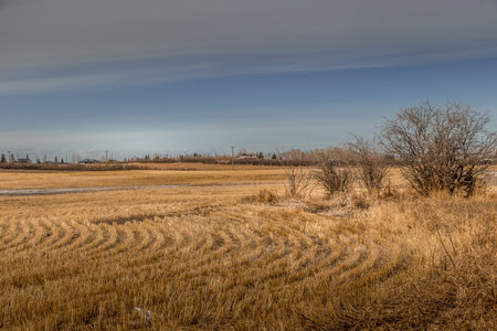 Some fields, trees and ponds in Indus, Alberta, Canadaの写真素材