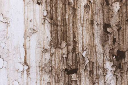 white painted wall with dirt stainsの写真素材