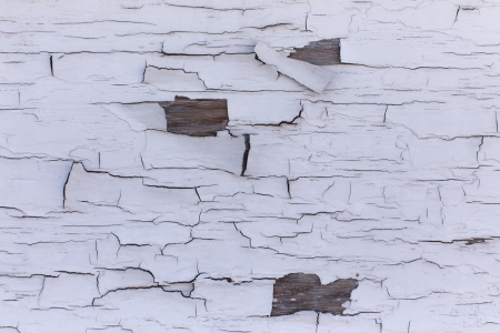 Peeling paint off wood textureの写真素材