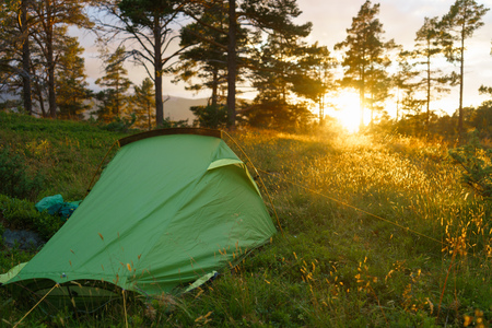 Camping on in the forest during the sunset or sunrise. Bright sunlight.の写真素材