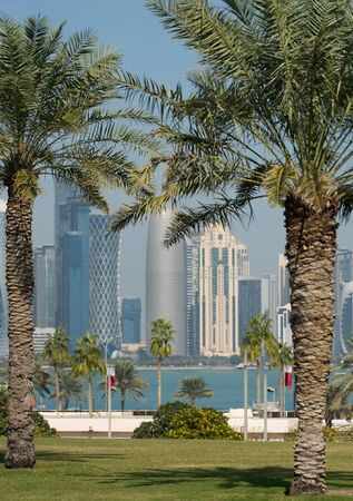 Panoramic view of modern skyline of Doha through blurred palm trees. Qatar on sunny day.