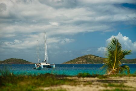 beach with palm and two yachts on background.の写真素材