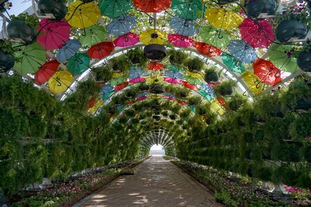 The colourful floral and umbrella arch at the Corniche Station. Doha, Qatar.の写真素材