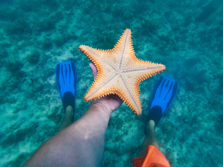 Hand of snorkeler holding starfish underwater with flippers on background. concept of travel and Adventuresの写真素材