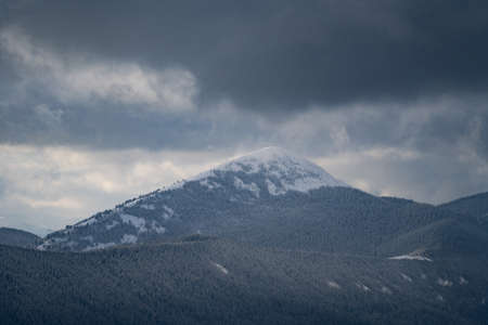 Snowy peak of mountain covered by forest during stormy weather. Travel and adventure conceptの写真素材