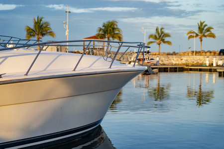 Motor Boat Docked at the tropical Marina with palm tree and blue sky. Travel and vacation conceptの写真素材