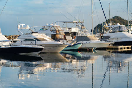 Many motorboats Docked at a Marina with palm tree and blue skyの写真素材
