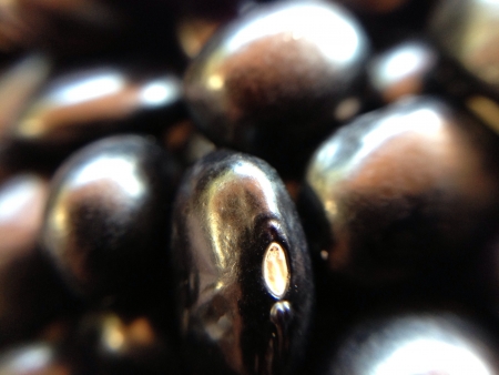 Black beans close up