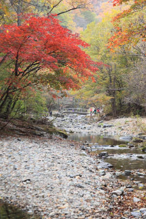 Benxi red leavesの写真素材