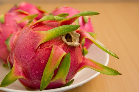 dragon fruit on white dish with brown background の写真素材