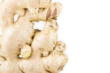Fresh ginger isolated on white の写真素材