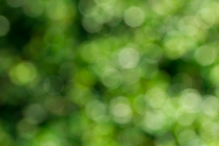 Abstract green bokeh background from green leaves background.の写真素材