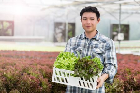 Young happy Asian man holding hydroponic vegetable from her farm. healthy organic plant food.の写真素材