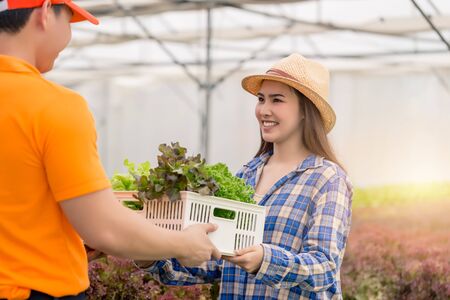 Delivery man taking food basket from the green house farm delivering to customer - grocery shopping...