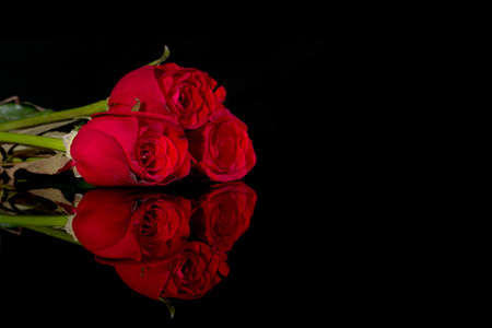 red rose flowerの写真素材