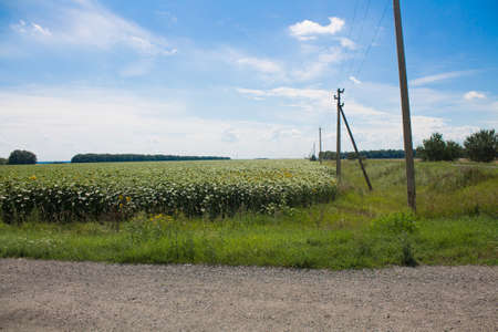 waterの写真素材