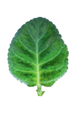 waterの写真素材