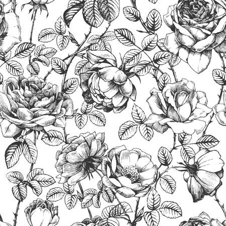 Seamless pattern with ink drawn rosesのイラスト素材