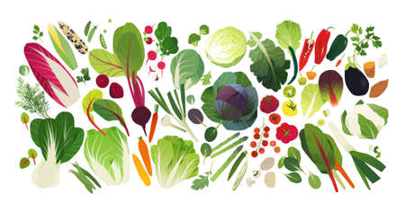 Vegetable and herb icons, food backgroundのイラスト素材