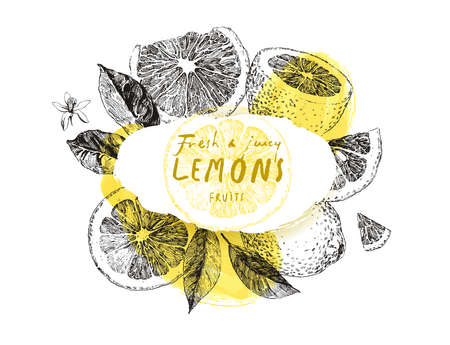 Hand drawn lemon fruits, frame with vintage illustrations, background for label designのイラスト素材
