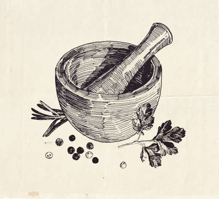 Hand drawn illustration of ceramic mortar and pestle with parsley leaves and black peppercornsのイラスト素材