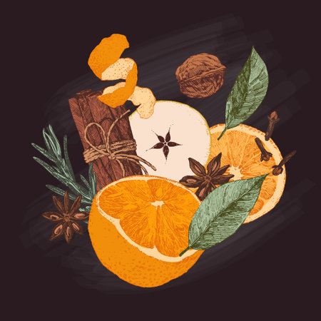 Hand drawn mulled wine ingredients, seasonal food illustrationのイラスト素材