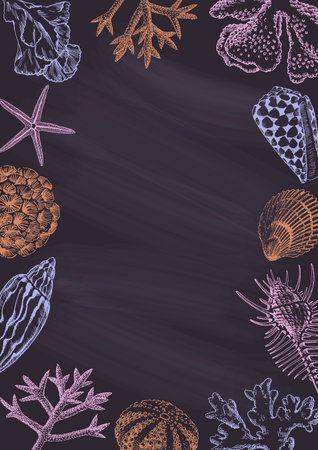Black chalkboard with seashells and corals drawings. Border design, summertime illustration bannerのイラスト素材