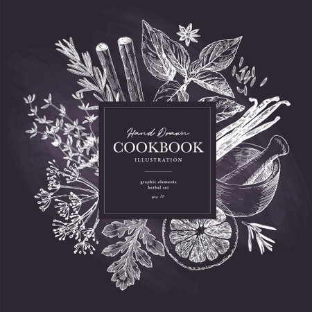 Herbs and spices banner template. Chalk like drawings on black board. Graphic elements for cook book design, restaurant menu and recipe sheetsのイラスト素材