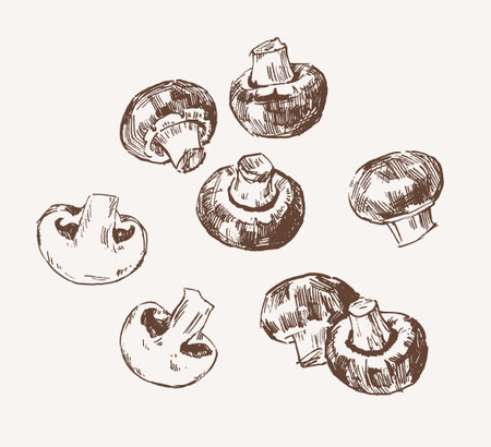 Set of whole and sliced champignon mushrooms, hand drawn illustrationのイラスト素材