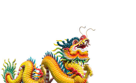 Dragonの写真素材